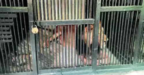 “只为拍一张精彩的照片”！尊龙凯时新西兰游客坠落身亡(图6)