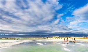 中研普华行业研究网尊龙凯时案例分析_(图10)