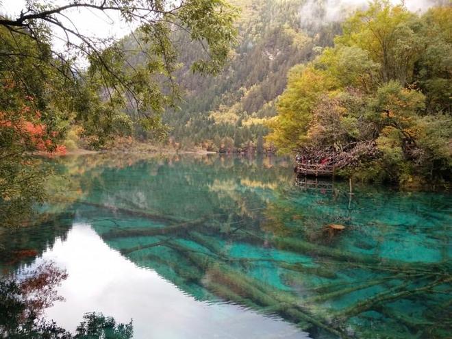晚行程路线看完四川之旅不迷路凯时尊龙四川当地跟团四天三(图3) 晚行程路线看完四川之旅不迷路凯时尊龙四川当地跟团四天三(图3)