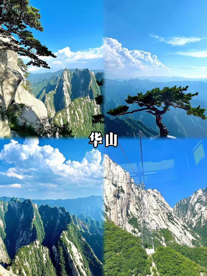 日程全公开亲身经历分享避雷心得！尊龙凯时app西安旅游团六日游(图4)